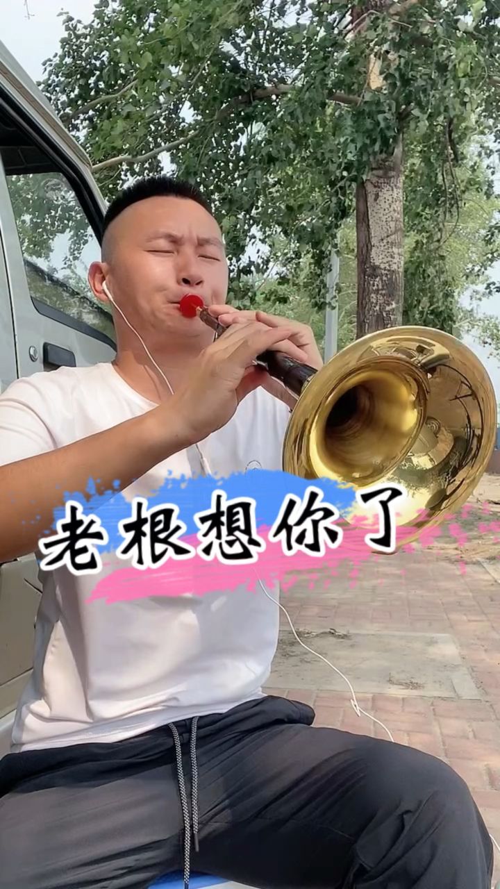 刘老根想丁香简谱唢呐图片