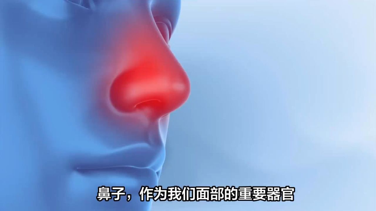 2揭秘鼻子结构:外鼻、鼻腔与鼻窦的奥秘_高清1080P在线观看平台_腾讯视频