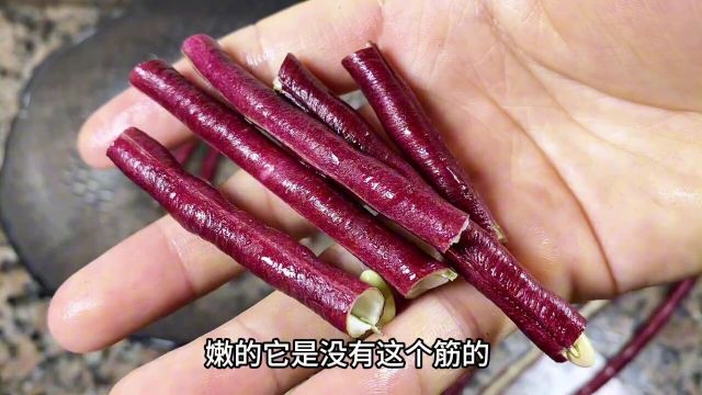 紫豆角你们吃过吗?市场上看到一定不要错过你肯定会爱上它