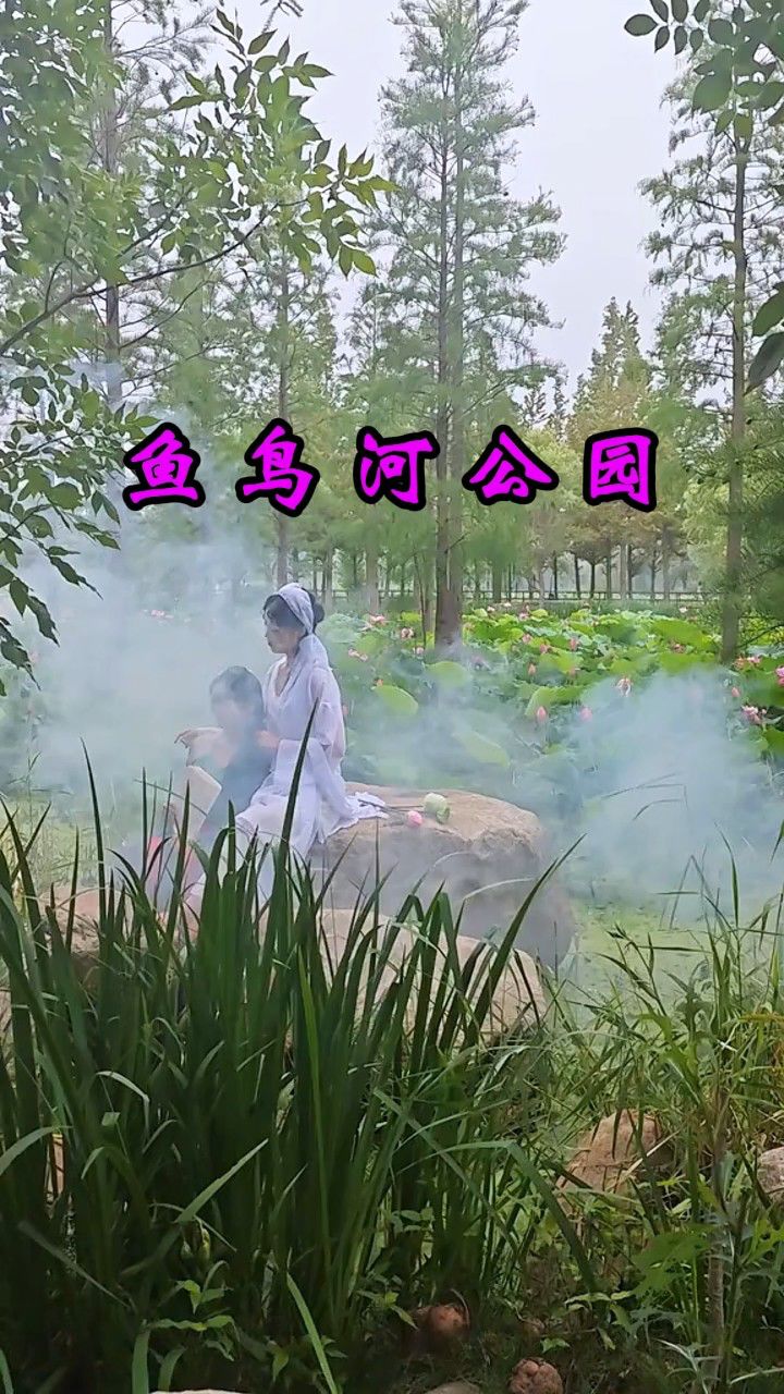 鱼鸟河公园