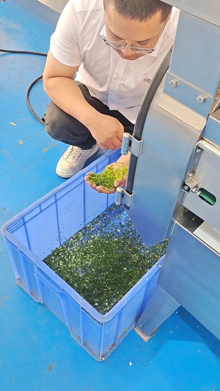 商用可调切割长度的切葱花机器