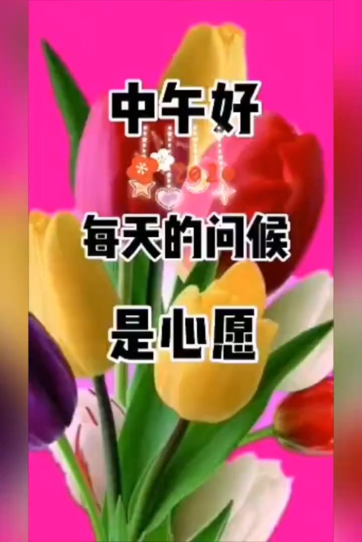 中午好图片大全最美图片