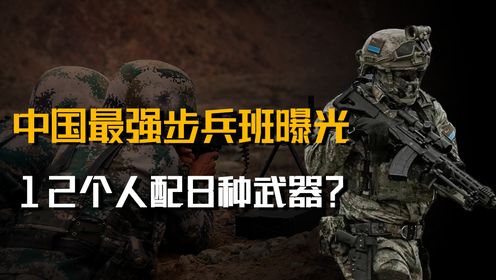 12个人配8种不同的武器?解放军步兵班火力配置,到底有多强?_高清1080P在线观看平台_腾讯视频