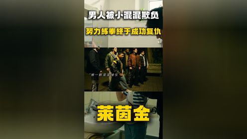 《莱茵金》男人被小混混欺负，努力练拳终于成功复仇