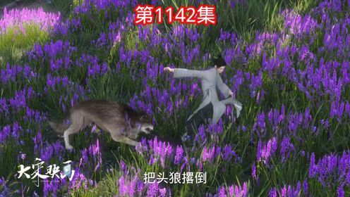 第1142集一群狼来了_高清1080P在线观看平台_腾讯视频