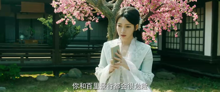 双花镜 6集