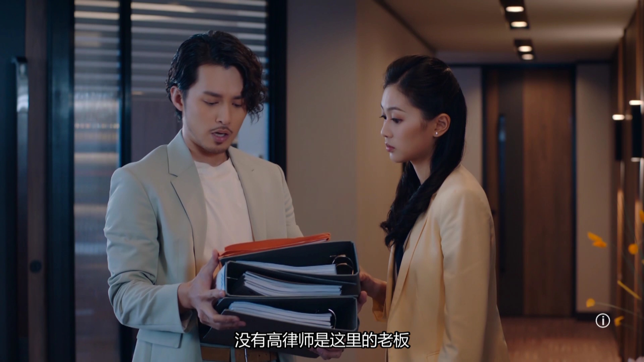 双生陌生人[普通话版] 12集