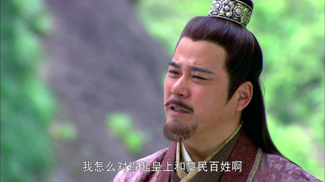 大明抗倭记 29集