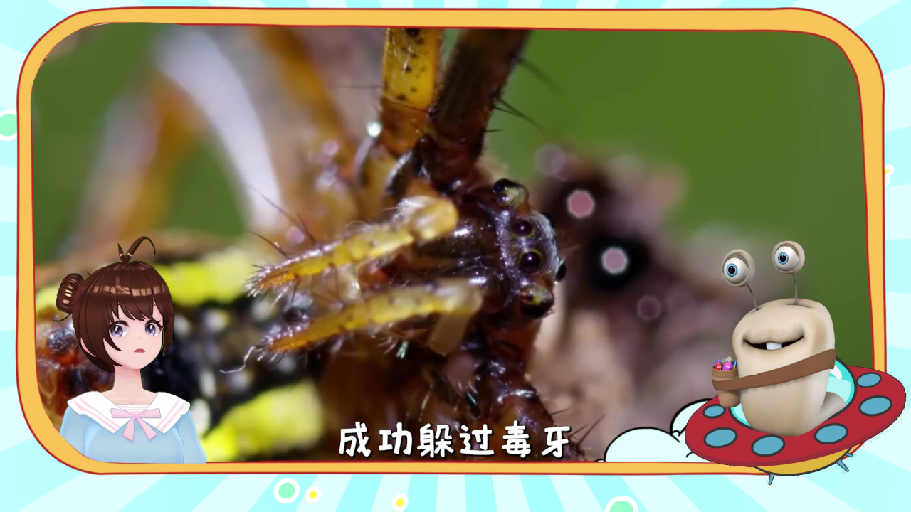 白白侠的动物朋友 7集
