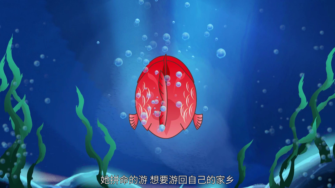 巧虎奇妙世界之国学和艺术 5集