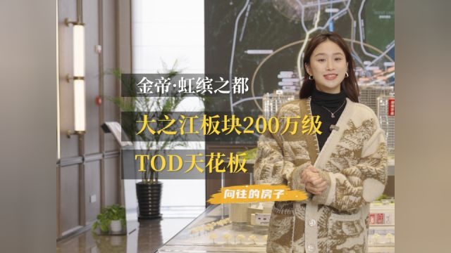 7站到滨江!大之江板块200万级TOD天花板