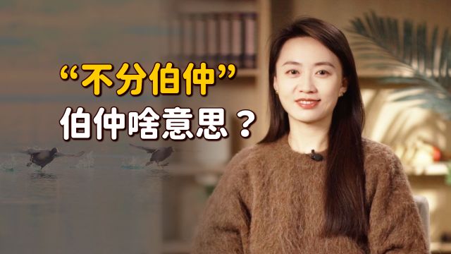 “不分伯仲”的伯仲,指的是什么意思?最初说的又是谁呢?