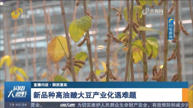 山东省科技厅:加快推进高油酸大豆新品种的审定工作