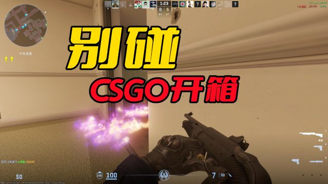 CSGO箱子到底有多可怕?一旦碰了箱子,CSGO立刻秒变重氪游戏