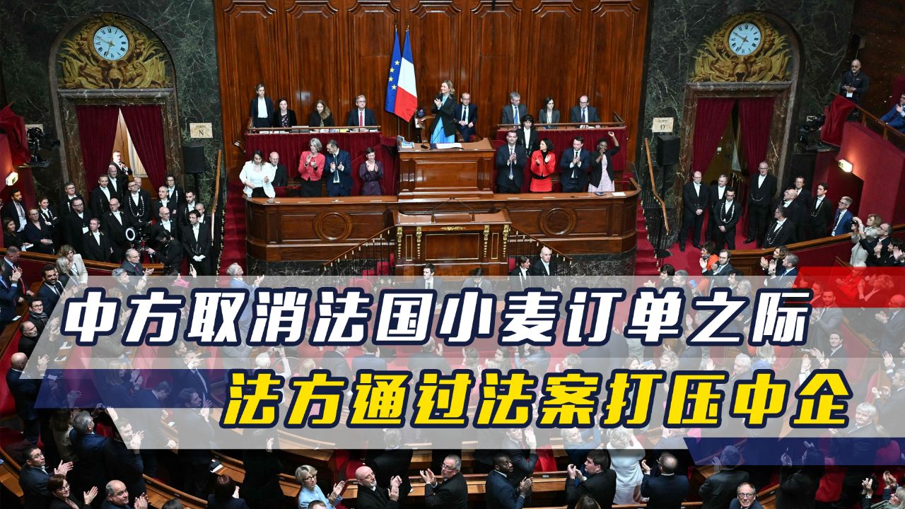 中方取消法国小麦订单之际,法方通过法案,中企恐面临巨额罚款