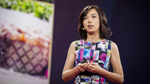 李飞飞:AI会对人类的本质、能力和定义产生深刻影响