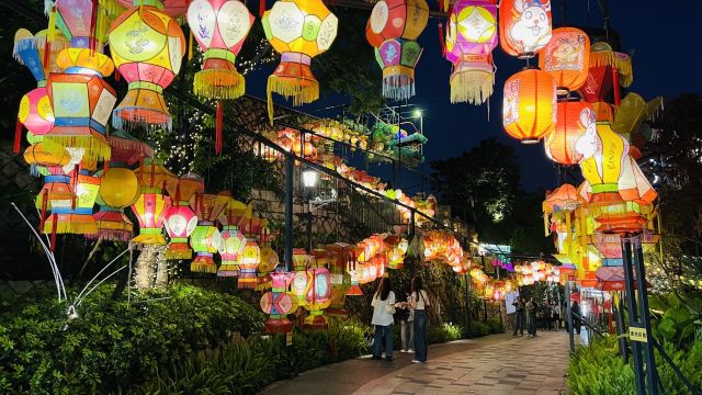 福州烟台山的夜景已经够好了,居然还有个由百十个灯笼组成的龙灯