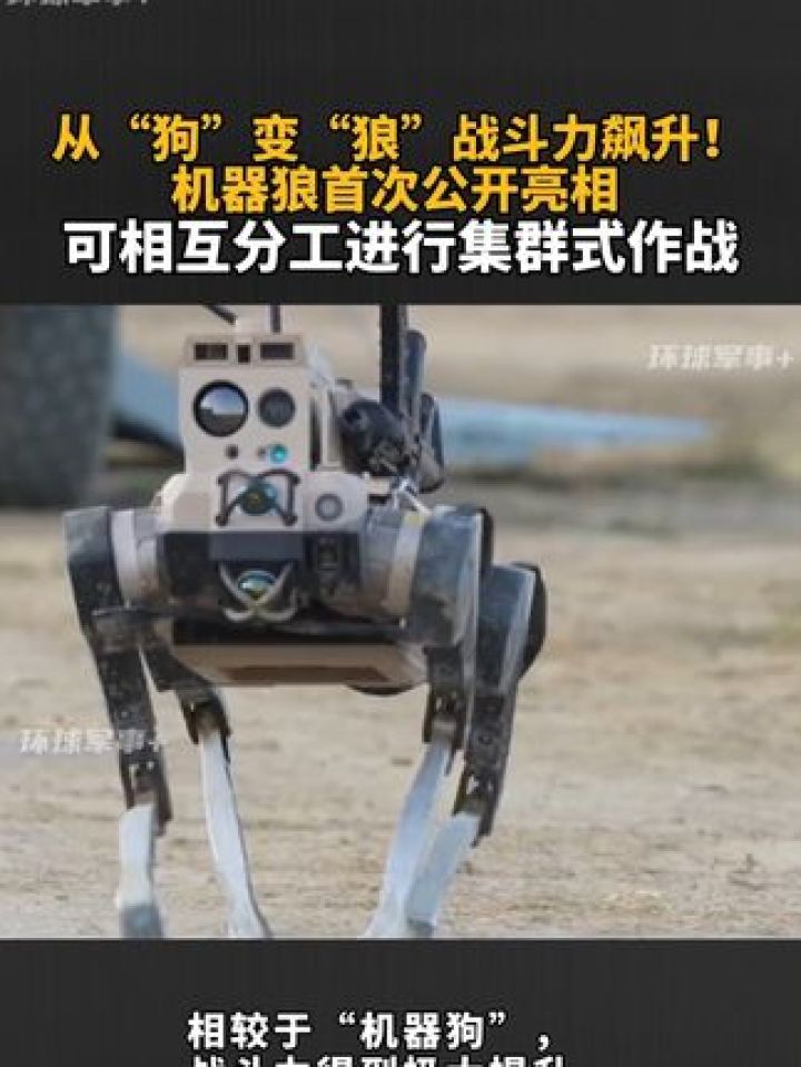 机器狼首次公开亮相 可相互分工进行集群式作战