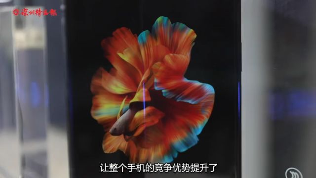 深圳出了个赋能百业的“高分子之王”| 在深圳看见新质生产力