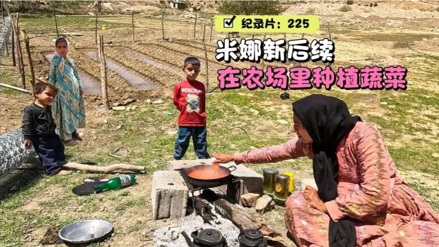 米娜完善农场花园的建造,并种植蔬菜,牧羊人向她提出建议