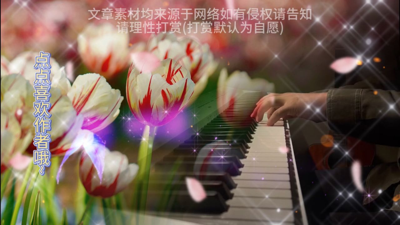 情字难舍_高清1080P在线观看平台_腾讯视频