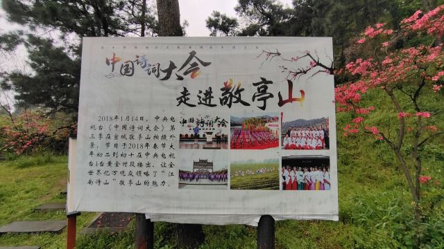 江南诗画名山宣城敬亭山,诗仙李白七次登临,《独坐敬亭山》绝唱