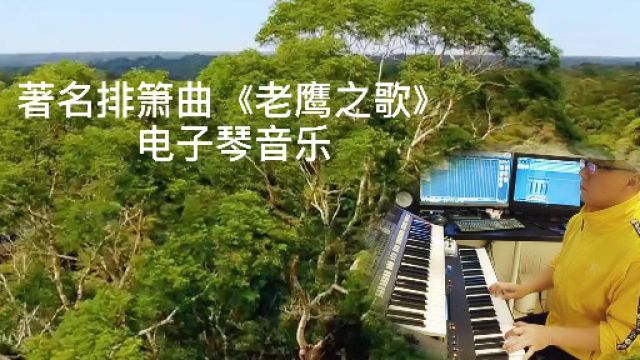 经典名曲《老鹰之歌》,唯美音画,音乐与大自然融为一体