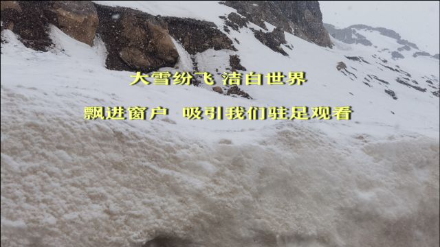 百日自驾(29)跨过益秀拉垭口,观赏到怎样的美好雪景?