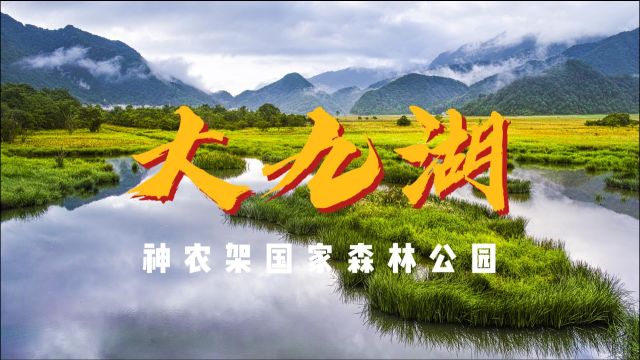 神农架国家森林公园:大九湖景区