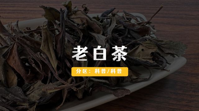 老白茶更受欢迎