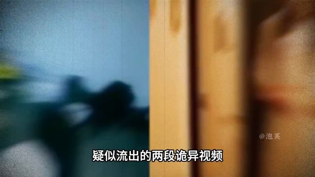 两段足以让任何猛男猛女,看完不敢独自睡觉的视频下