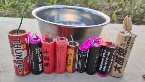 挑战用十种鞭炮炸狗盆 (1)