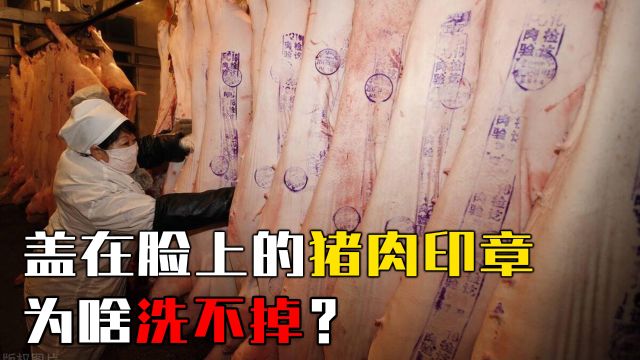 猪肉印章为什么洗不掉?盖了章的猪肉,还能吃吗?