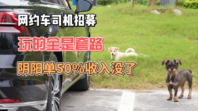 网约车司机招募 玩的全是套路 阴阳单50%收入没了