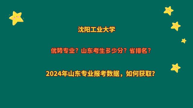 沈阳工业大学,山东考生多少分?2024山东专业报考数据,如何获取