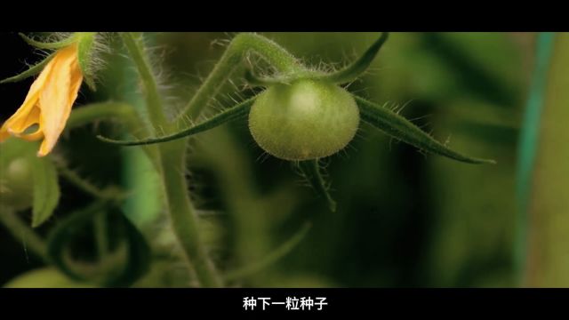 瓦大集团简介视频