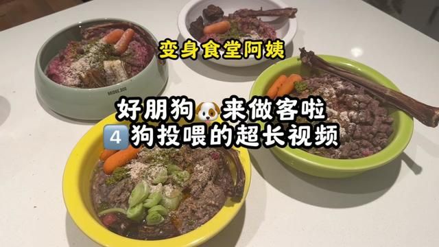 好朋狗来家里做客啦 #萌宠进食记 #养狗日常 #科学喂养 #萌宠嗨玩季 #罗宾胖虎