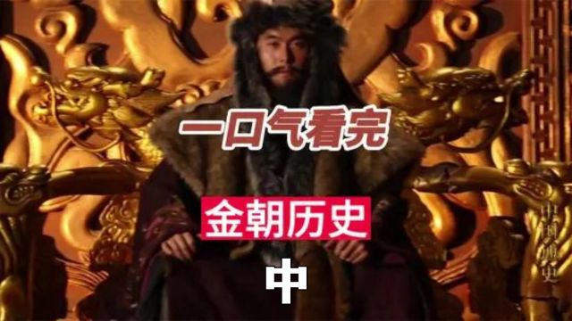 一口气看完金朝年历史,蒙古为何这么强大 #历史 #金朝 #金朝十帝 中