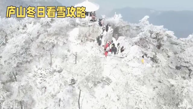 庐山冬日看雪攻略:一次奇妙的白色之旅