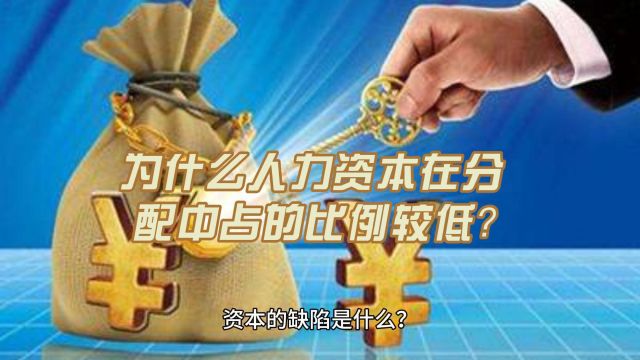 为什么人力资本在分配中占的比例较低?