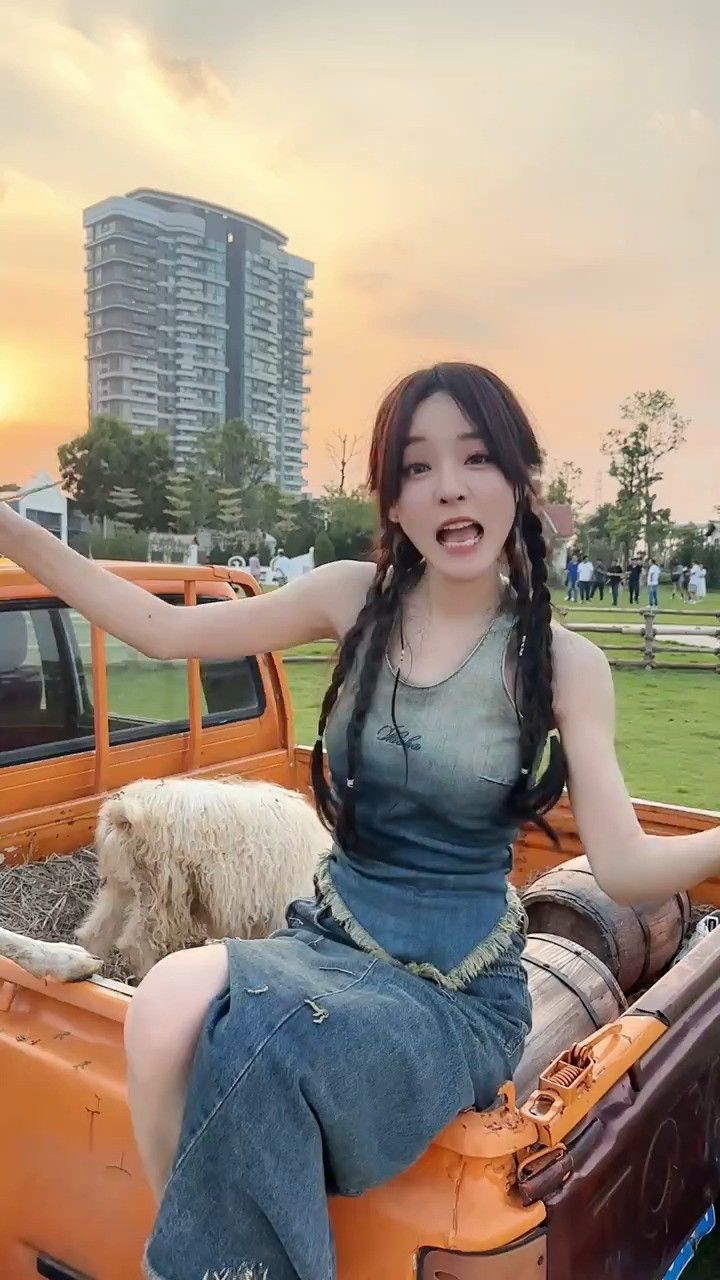 小羊,夕阳,爱唱歌的鱼闪闪