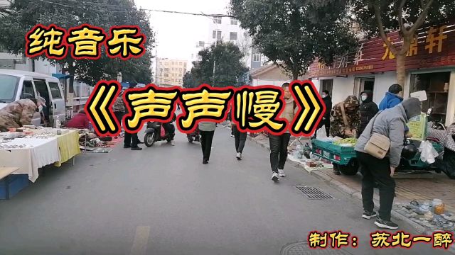 纯音乐欣赏《声声慢》