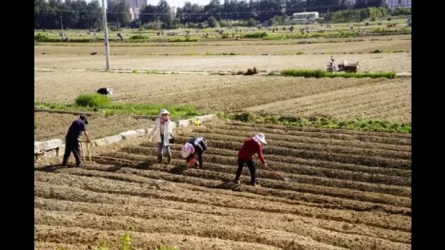 90年代朝鲜几十万人饿死的苦难行军,究竟怎么回事?为何会发生?