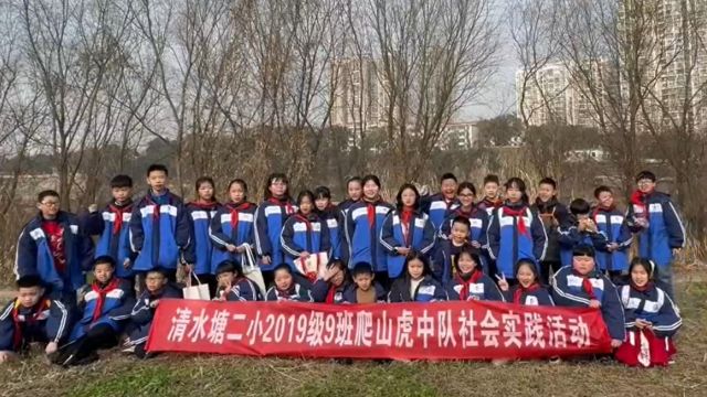 为如画风景祛除“污点” 清水塘二小爬山虎中队开展环保社会实践活动