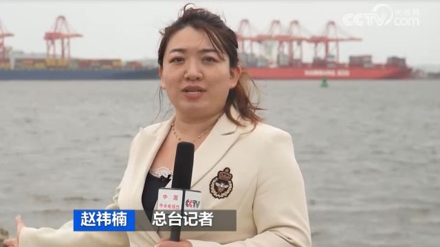 红海航道受阻,红海危机致大量货船绕行非洲,南非港口出现拥堵