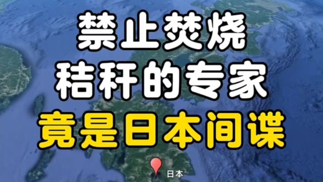 日本潜伏我国间谍30年被抓获,曾经渗透多领域中!