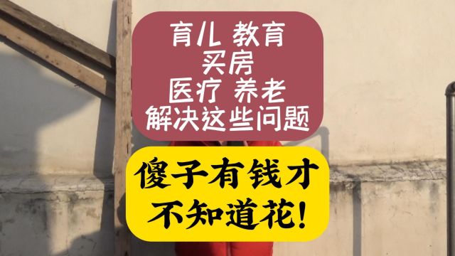 育儿、教育、买房、医疗、养老,解决这些问题,傻子有钱才不知道花!