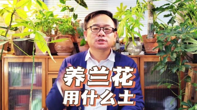 兰花用什么土栽培最好?并没有固定配方,要根据实际情况