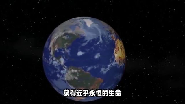 人类的痕迹——消散的生命与永恒的传说(内容纯属虚构)