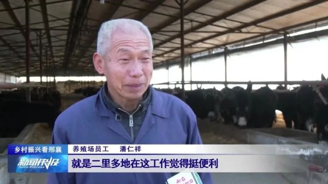 【乡村振兴看邢襄】信都区西黄村镇:肉驴“驮”起乡村致富梦